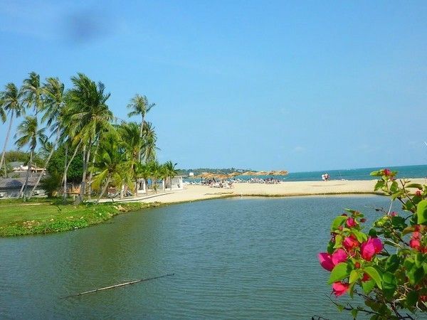 Voyage à Kho Samui  ( ile Thailandaise )