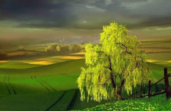 Photographe : Igor Zenin