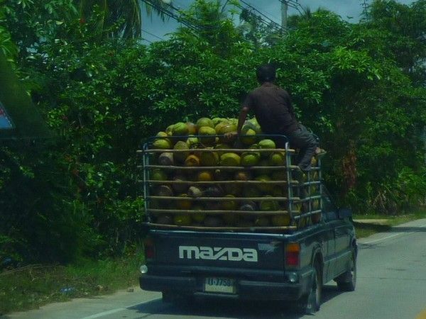 Voyage à Kho Samui hiver 2013 ( Suite)