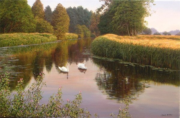 Paysages en peintures C  de David Smith 