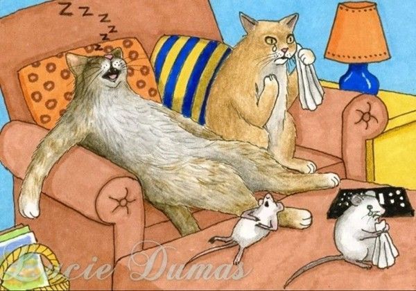 35-Illustrations de Lucie Dumas