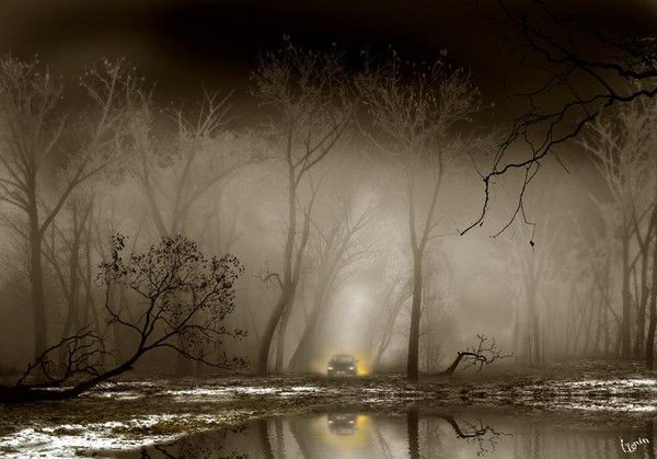 Photographe : Igor Zenin