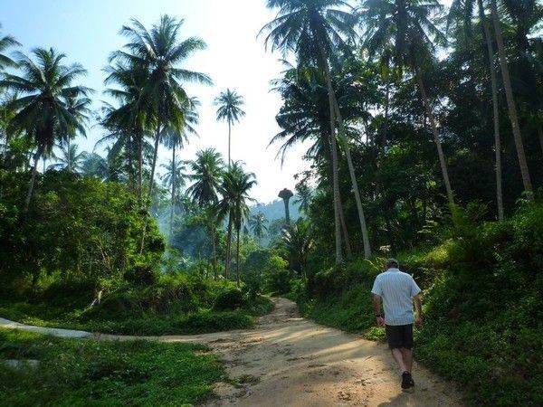 Voyage à Kho Samui  ( ile Thailandaise )