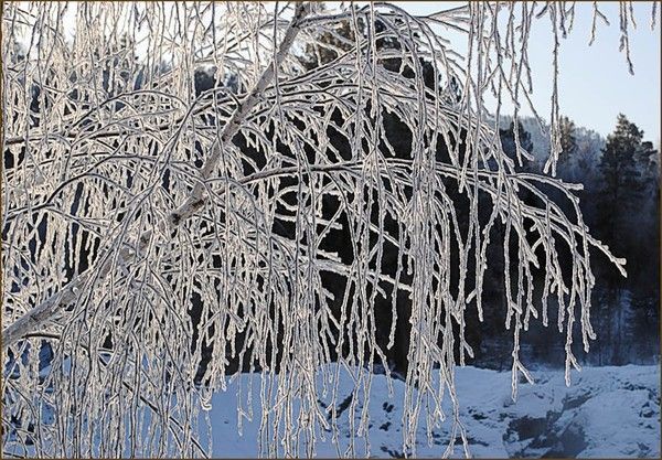 Hiver fonds d'ecrans en photos