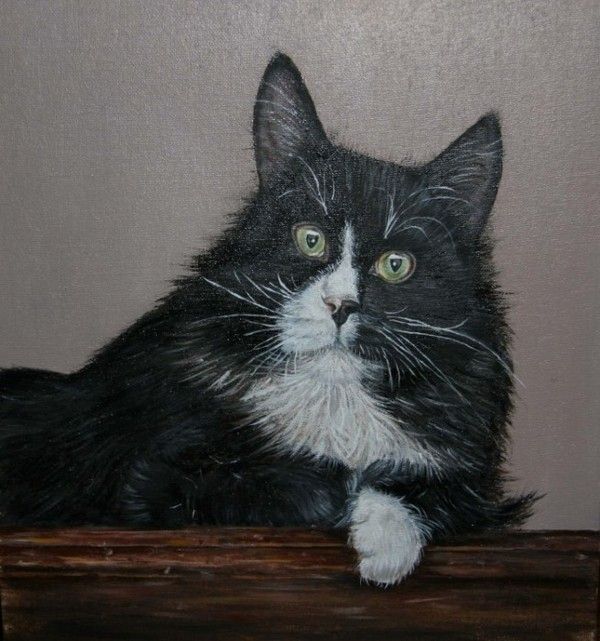 chats en peintures ( serie A )  (M.Y )