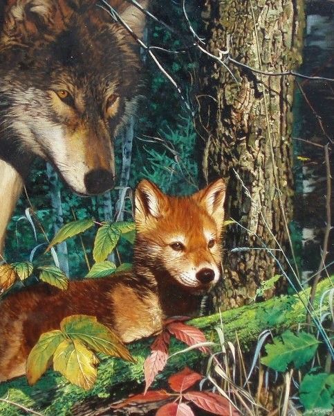Loups  en peinture