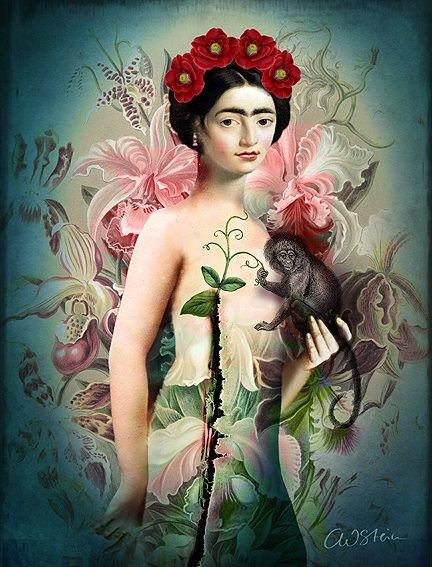 12-Beaux tableaux de Catrin Welz-Stein