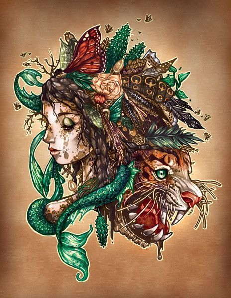 Illustrations de Tim Shumate