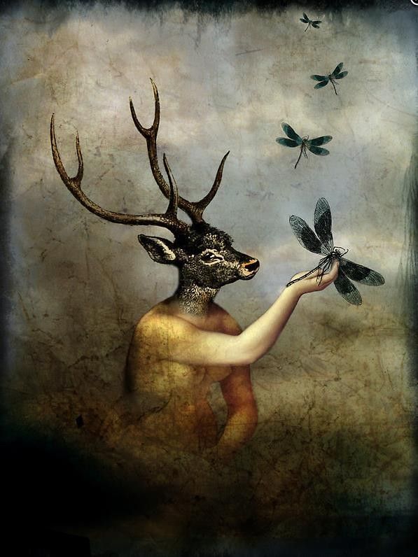 12-Beaux tableaux de Catrin Welz-Stein