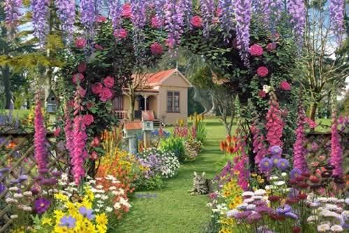 fleurs et jardins