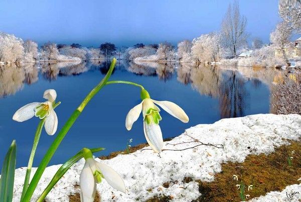 Photographe : Igor Zenin