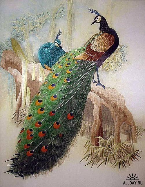 Art  asiatique  faune et flore  