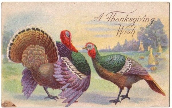 15- Cartes vintage A ( fêtes diverses) :Thanksgiving