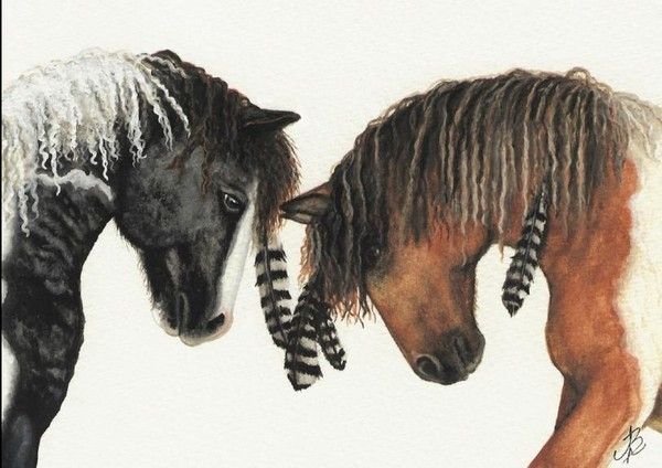 Animaux : chevaux de Amylyn Bihrle