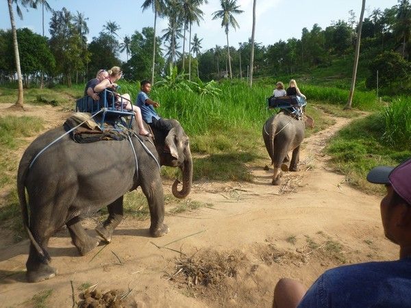 Voyage à Koh Samui  ( ile Thailandaise )