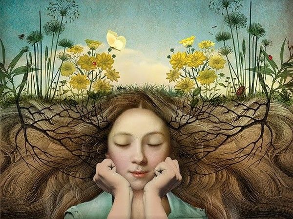 12-Beaux tableaux de Catrin Welz-Stein 