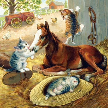 Chats et chiens illustrés
