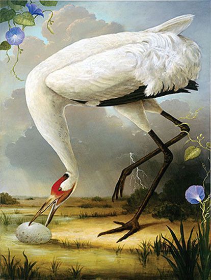 12-Beaux tableaux de  Kevin Sloan