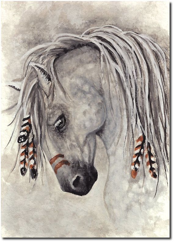 Animaux : chevaux de Amylyn Bihrle