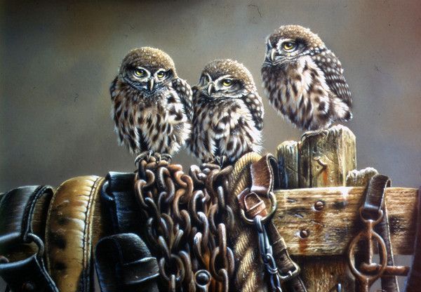 16-Oiseaux peints divers artistes