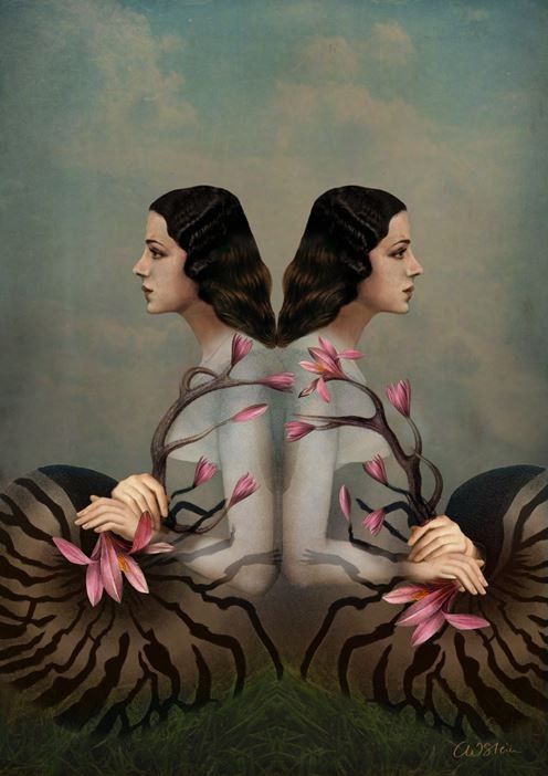 12-Beaux tableaux de Catrin Welz-Stein