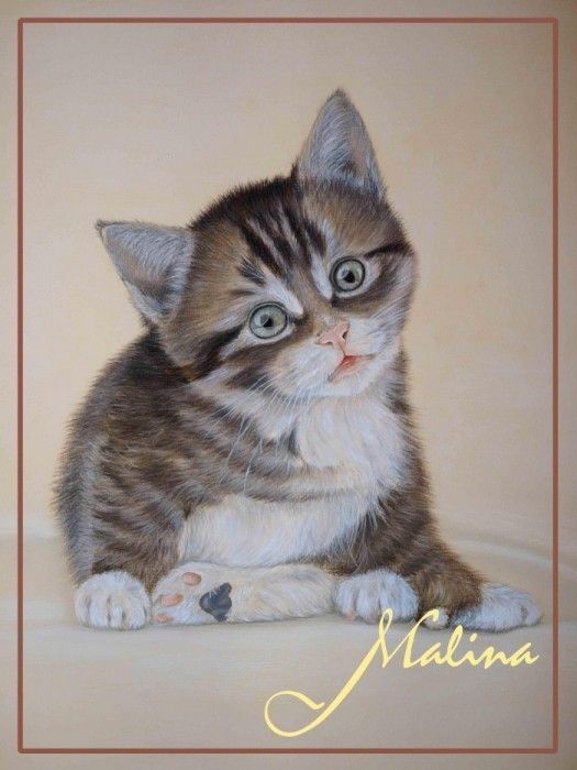 chats en peintures ( serie A )  ( M.Y)