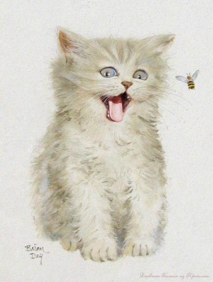 14-chats peints serie B  ( B.D )