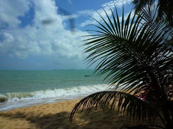 Voyage à Koh Samui  ( ile Thailandaise )