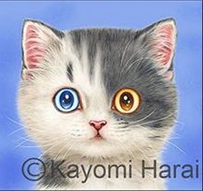 38-Mignonnes illustrations de Kayomi Harai