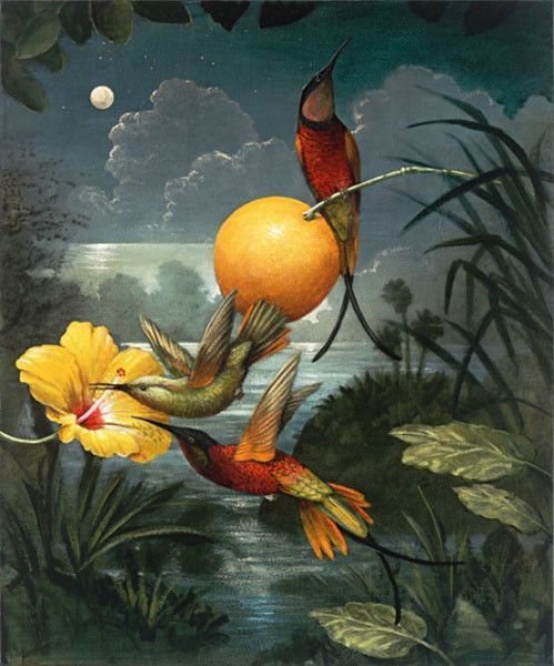 12-Beaux tableaux de  Kevin Sloan