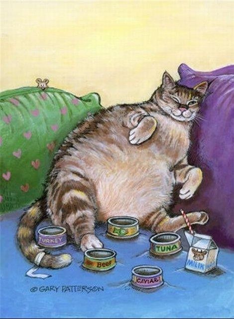 Mignonnes illustrations de Gary Patterson