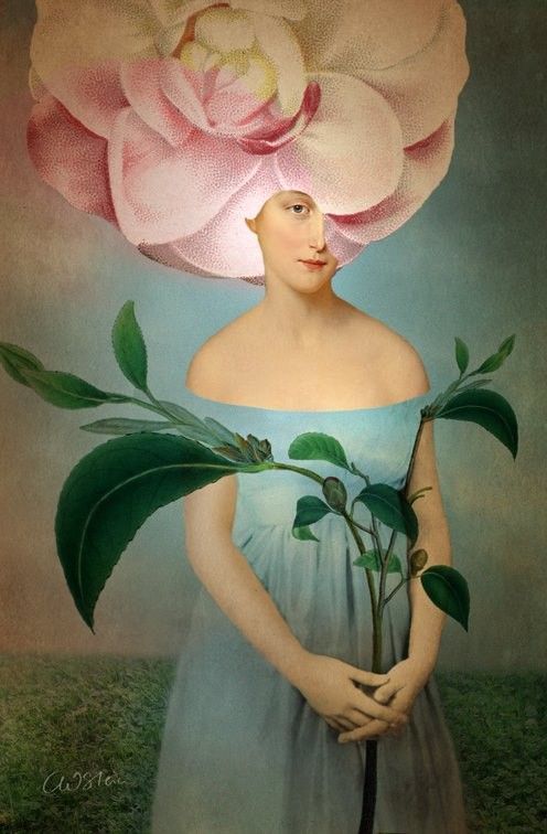 12-Beaux tableaux de Catrin Welz-Stein