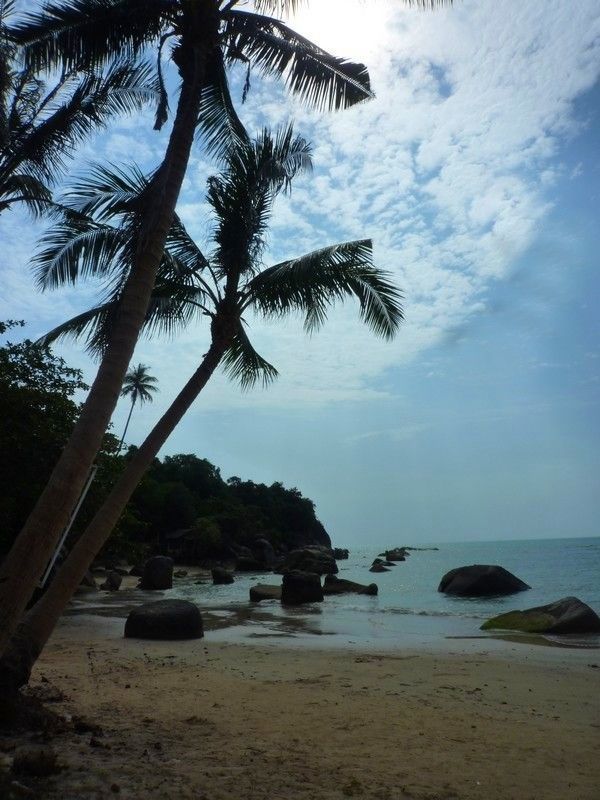 Voyage à Koh Samui  ( ile Thailandaise )