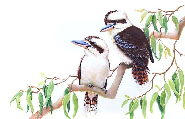 16-oiseaux (& Animaux) peints par K.Castle