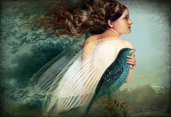 12-Beaux tableaux de Catrin Welz-Stein 