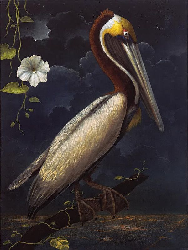 12-Beaux tableaux de  Kevin Sloan