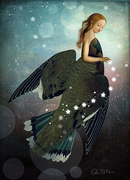 12-Beaux tableaux de Catrin Welz-Stein 