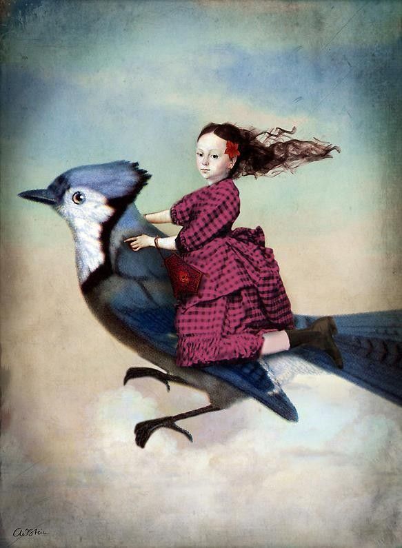 12-Beaux tableaux de Catrin Welz-Stein