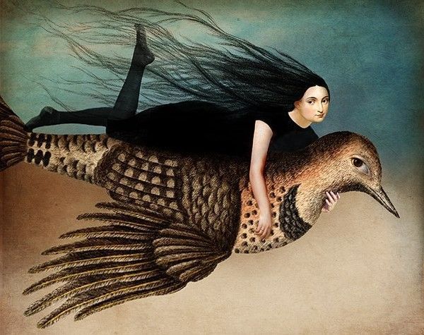 12-Beaux tableaux de Catrin Welz-Stein