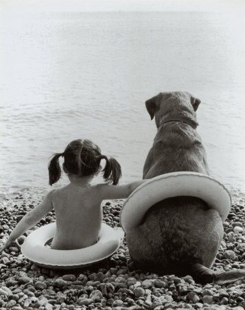 Photos droles ou tendres de chien 