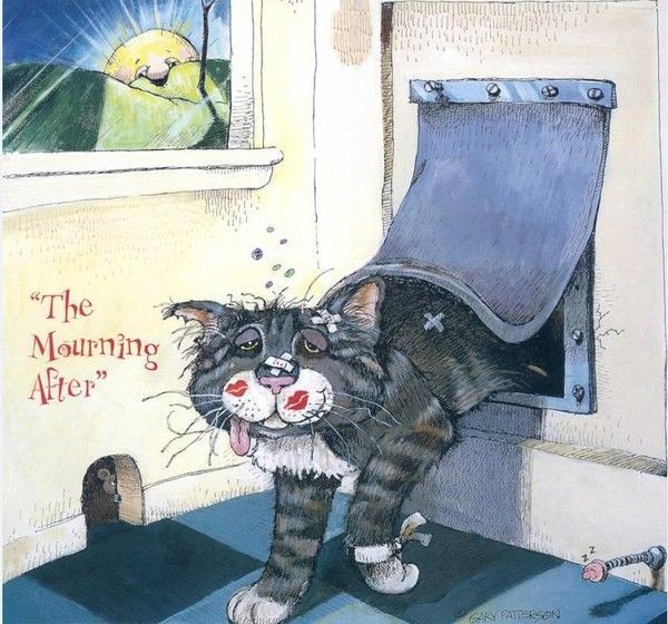 Mignonnes illustrations de Gary Patterson