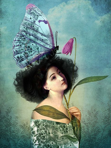 12-Beaux tableaux de Catrin Welz-Stein