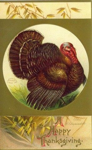 15- Cartes vintage A ( fêtes diverses) :Thanksgiving