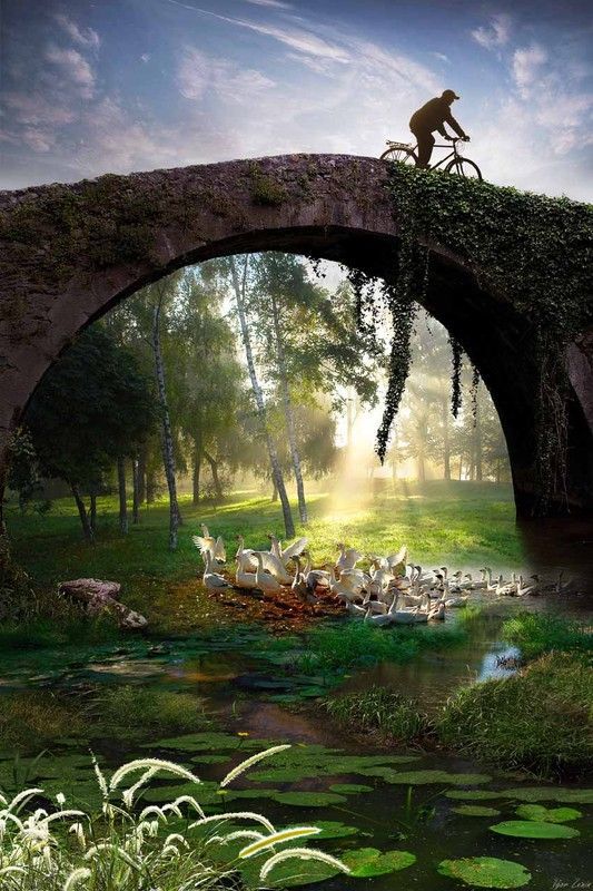 Photographe : Igor Zenin