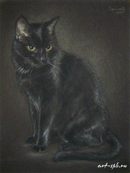 Chats  en peintures  serie A   ( J.D)