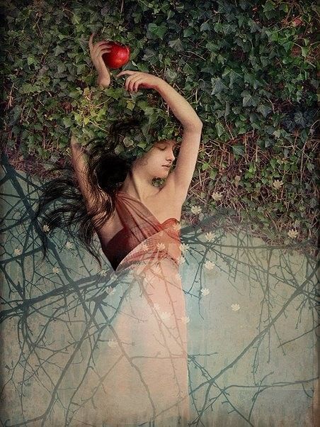 12-Beaux tableaux de Catrin Welz-Stein 