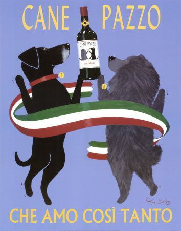 Affiches chiens et chats 