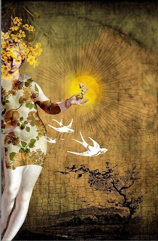 12-Beaux tableaux de Catrin Welz-Stein