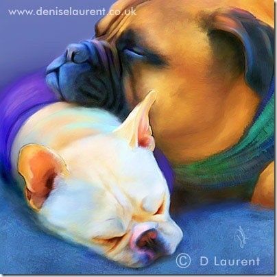 Chats & chiens de Denise Laurent  