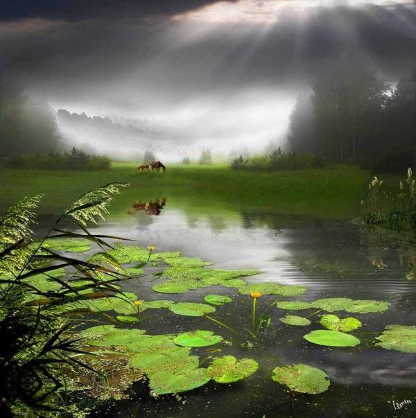 Photographe : Igor Zenin